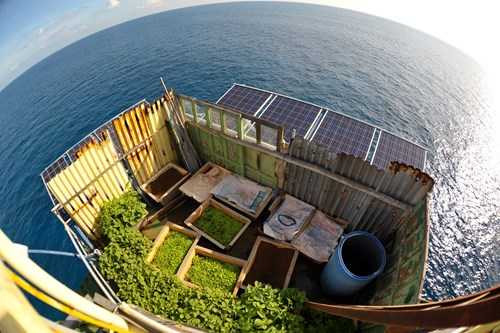 Ấn tượng vườn rau và nhà giàn DK1 của lính đảo Trường Sa