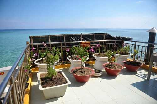 Ấn tượng vườn rau và nhà giàn DK1 của lính đảo Trường Sa