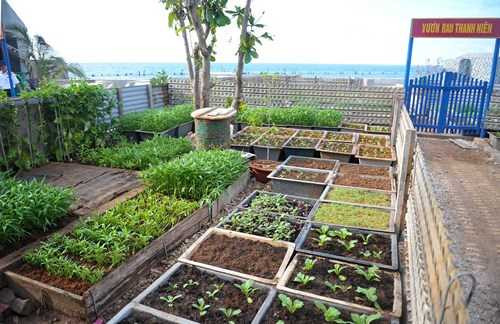 Ấn tượng vườn rau và nhà giàn DK1 của lính đảo Trường Sa