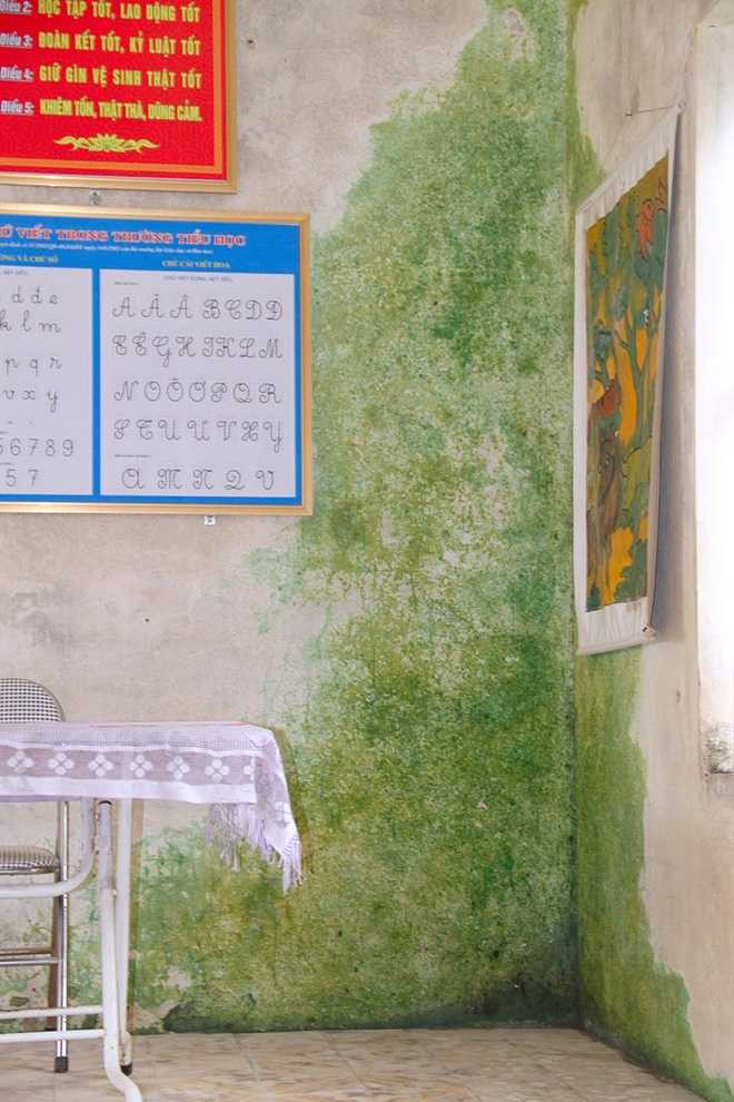 Một số phòng nước mưa ngấm vào nên đã bị rêu bám phủ.