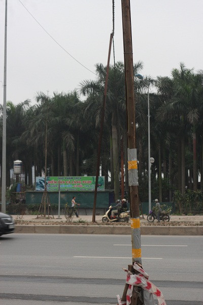 Những thanh thép được lồng bên trong những cây củi khô.