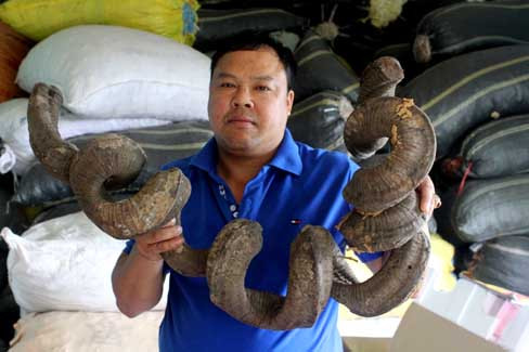 Ông lang Út và dây huyết đằng kỳ quái