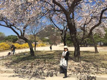 Thanh Duy ra sách để thực hiện ước mơ của mẹ