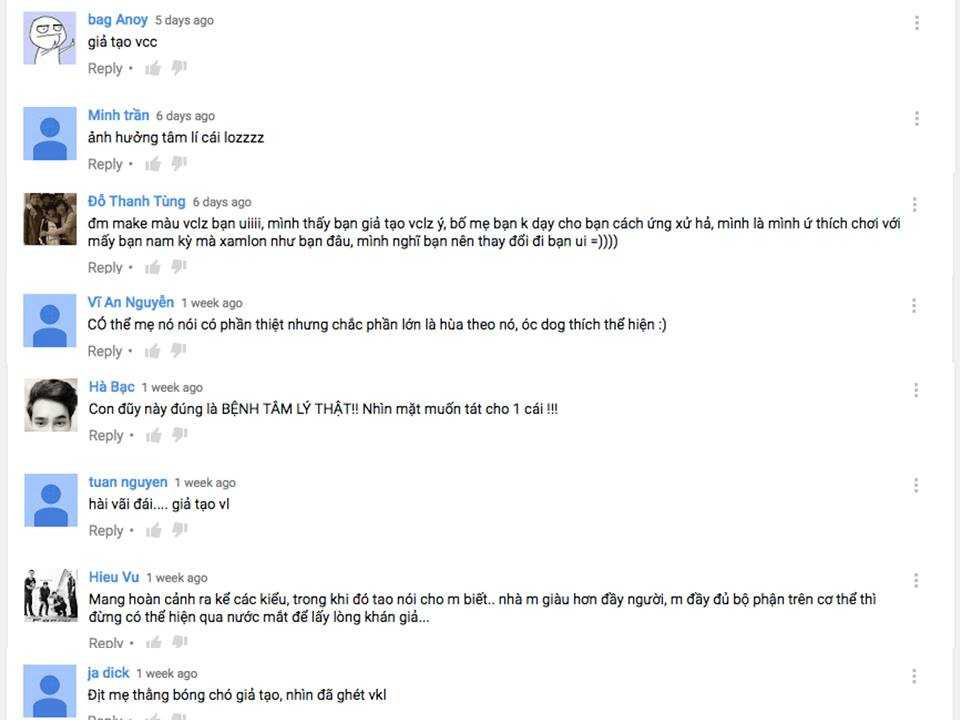 Mai Thái Anh bị tố giả tạo trên mạng xã hội.