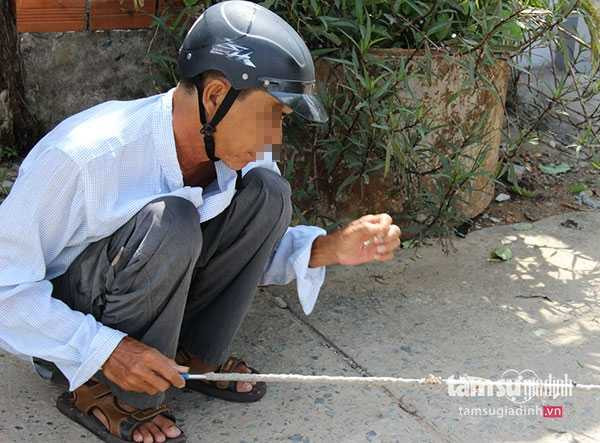 Thợ săn chim sẻ đang gỡ sạch lông chim trên cần bẫy để đi săn tiếp