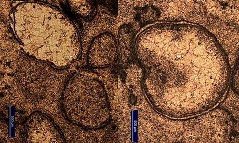 Tiểu hành tinh có thể gây ra những trận sóng thần cực lớn, phá vỡ những vách đá trên bề mặt trái đất