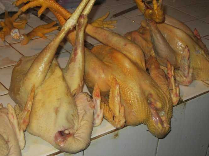 Để gà có màu vàng đẹp mắt, nhiều người bán đã nhuộm gà bằng hóa chất nhuộm vải