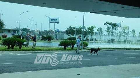 Lực lượng an ninh Mỹ cũng đã được triển khai cùng với chó nghiệp vụ rà soát quanh khu vực sân bay. (ảnh: Tùng Đinh)