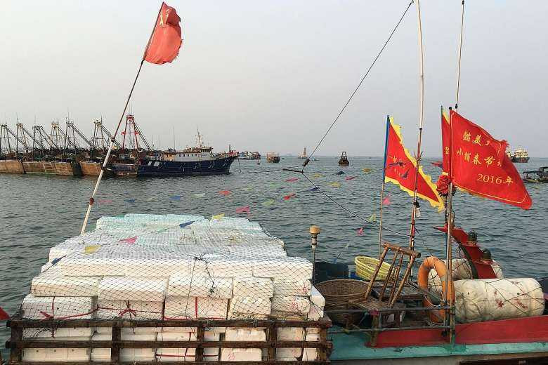 Đội tàu cá TQ được trang bị hiện đại, thậm chí mang cả vũ khí khi ra Biển Đông. Ảnh: Reuters