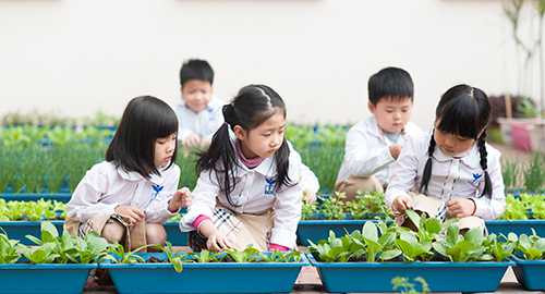 Trường thực nghiệm thứ 3 ở Hà Nội cấp học bổng 77 triệu đồng