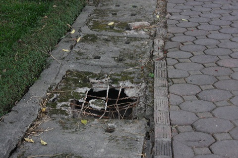 Một số đoạn của mương nước thải đã hư hỏng.