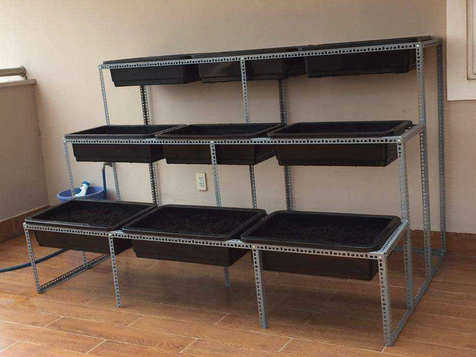 Tuyệt chiêu 1 triệu đồng để có vườn rau sạch tại nhà