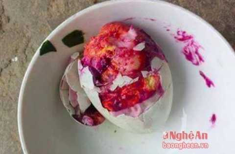 Quả trứng vịt lộn có màu đỏ khi luộc lên khiến nhiều người hoang mang, lo lắng. Nguồn: Báo Nghệ An Quả trứng vịt lộn có màu đỏ khi luộc lên khiến nhiều người hoang mang, lo lắng. Nguồn: Báo Nghệ An