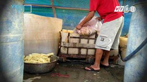 Măng từ túi ngay lập tức được đổ vào thùng xốp. Măng từ túi ngay lập tức được đổ vào thùng xốp.