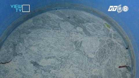 Thùng măng nổi váng. Thùng măng nổi váng.