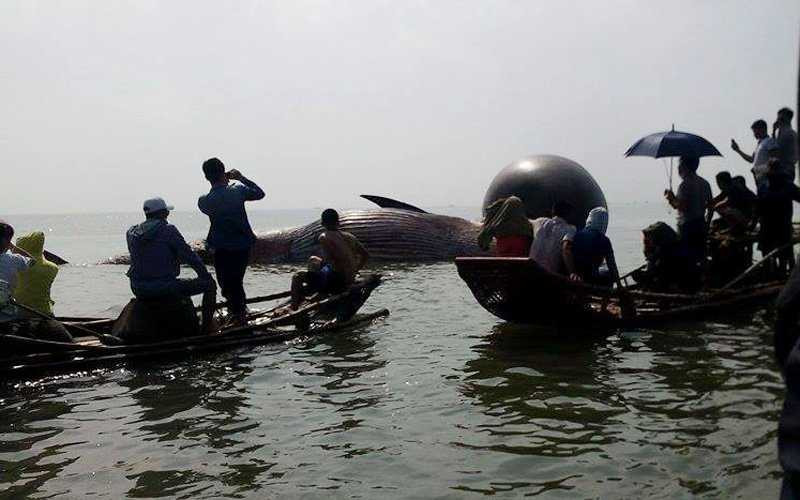 Thủy triều lên ngư dân sẽ đưa cá vào mai táng