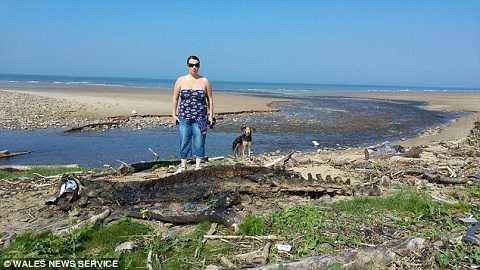 Melanie Rees người đã tìm ra sinh vật lạ với kích thước khổng lồ.