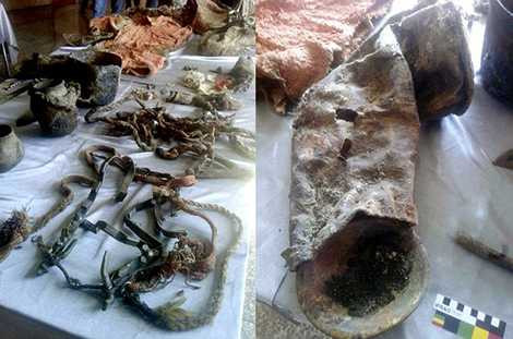 Những mẫu vật được khai quật trong ngôi mộ 1500 tuổi Những mẫu vật được khai quật trong ngôi mộ 1500 tuổi