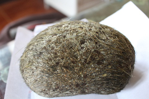 Hiện tại gia đình bà Mai đã bảo quản, cất giấu vật thể lạ này, chờ ngày cơ quan chức năng đến làm rõ.