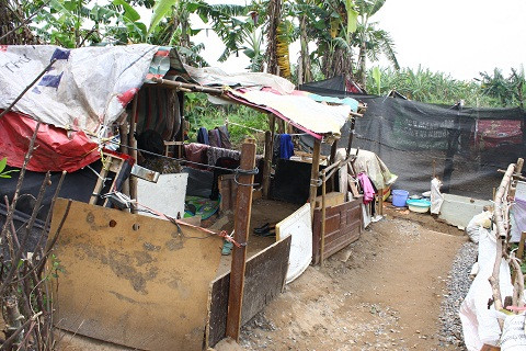 Hơn 30 năm qua cụ sống trong túp lều lụp xụp, rách nát, chỉ một trận gió lớn túp lều này sẽ bị xô đổ