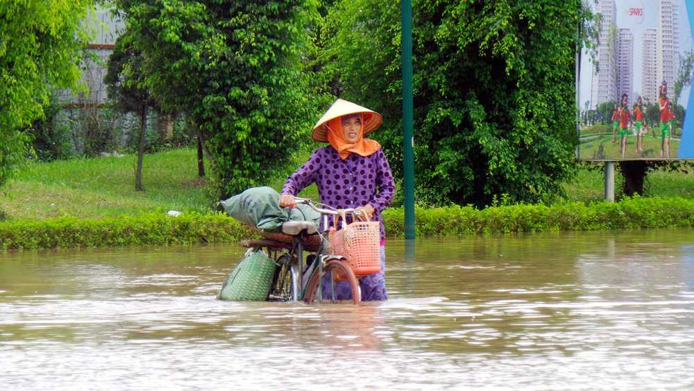Người phụ nữ loay hoay giữa mênh mông nước