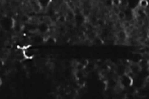 Đó là thứ khác người đang tồn tại trên bề mặt mặt trăng. Ảnh The Mirror Đó là thứ khác người đang tồn tại trên bề mặt mặt trăng. Ảnh The Mirror