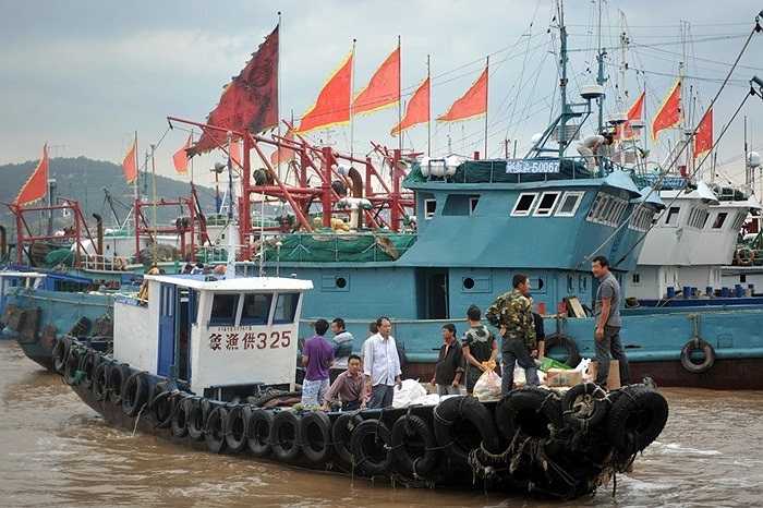 Căng thẳng leo thang Trung - Nhật quanh đảo tranh chấp Điếu Ngư/Senkakuchưa có dấu hiệu hạ nhiệt khi cả hai bên đều tuyên bố sẽ không nhượng bộ