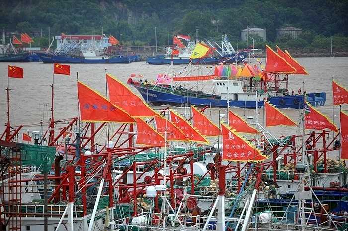 Sau khi lệnh cấm đánh cá mùa hè trên Biển Hoa Đông hết hiệu lực, nhiều tàu cá ở tỉnh Phúc Kiến, Chiết Giang, Trung Quốc đã ô ạt ra khơi