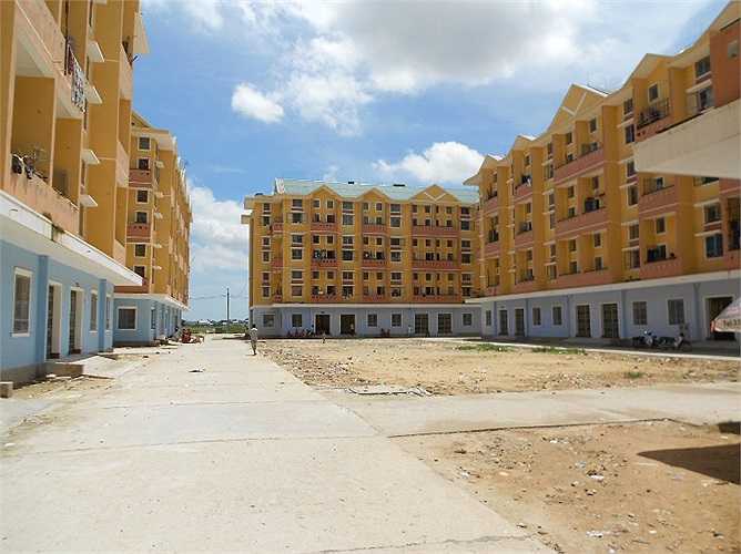 Khu tái định cư phường Hương Sơ (TP.Huế) nơi mà côn trùng lạ xuất hiện