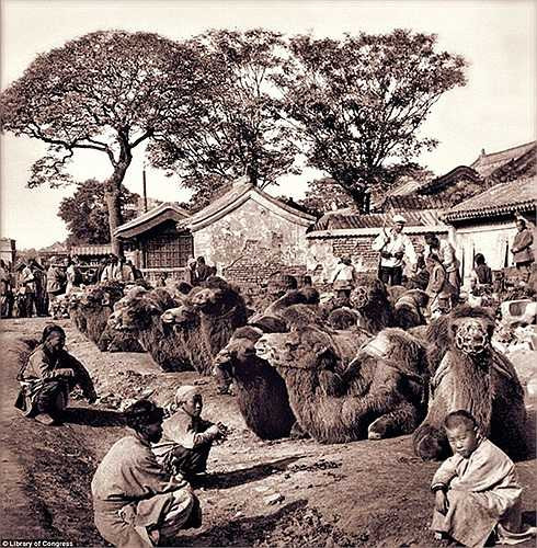 Một người lính Nga trò chuyện cùng chủ nhân bầy lạc đà ở Bắc Kinh vào năm 1901. Khi đó Bắc Kinh còn là một trong số nhiều thành phố của Trung Quốc đang thuộc quyền cai trị của nước ngoài