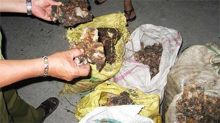 Nguyên liệu để sản xuất bánh thậm chí đã mốc đen, bốc mùi hôi thối.