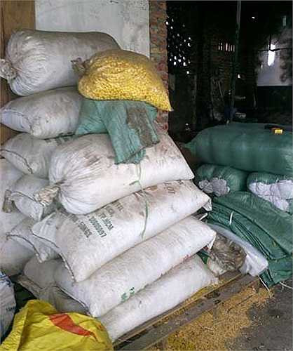 Công đoạn đầu tiên của ngô cay là luộc ngô hạt khô trong các thùng phi đựng đầy nước đường hoá học. 