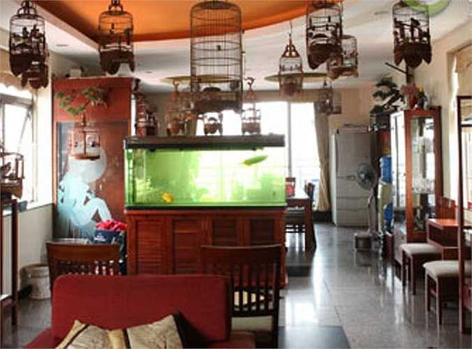 Anh Tuấn Anh cho biết, nếu gặp những con chim hay và thực sự có 'duyên' với mình, anh sẽ tiếp tục mua.