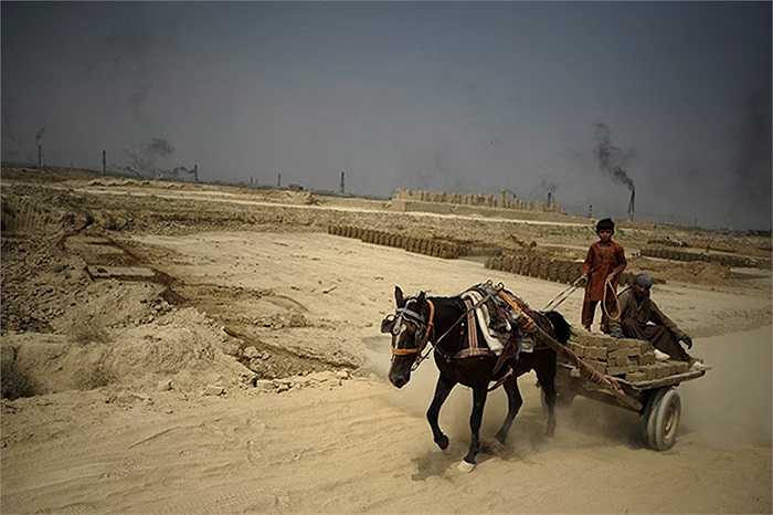 Những người lao động cưỡi xe lừa tại nhà máy sản xuất gạch ở Kabul, Afghanistan
