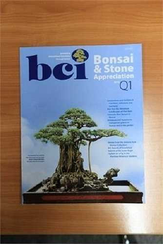 Thậm chí, cây cảnh “Mâm xôi con gà” được đăng tải trên trang nhất của tạp chí về nghệ thuật bonsai, cây cảnh BCI của Mỹ. 