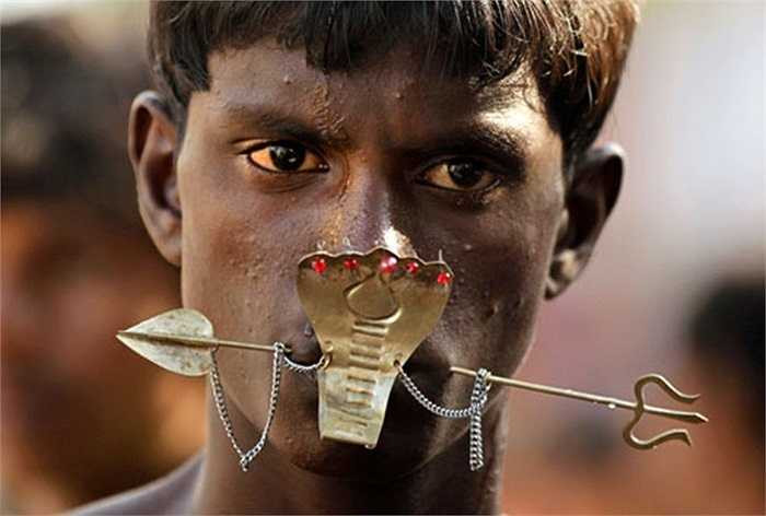 Thanh niên người dân tộc ở Sri Lanka tình nguyện tham gia một nghi thức rùng rợn trong lễ hội Hindu được tổ chức ở thành phố Colombo.