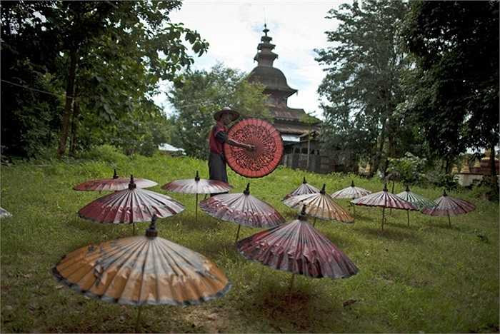 Khu phơi ô của một xưởng làm ô gia đình ở Burma. 