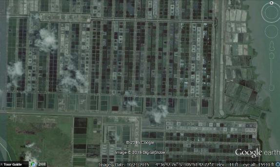 Công nghệ nuôi tôm tại Tulang, Bawang, tỉnh Lampung, Nam Sumatra, Indonesia (Do công ty CP Prima đầu tư)