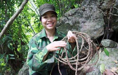 Theo chị Minh, đây là cây thuốc cường dương cực mạnh và bí truyền trong gia đình nhà chị.