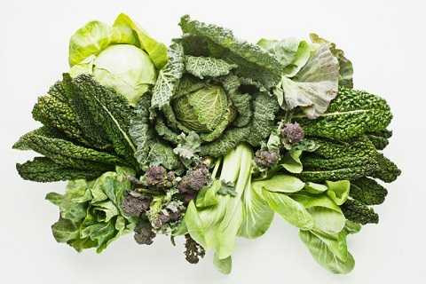 Quá nhiều rau cũng không hẳn có lợi