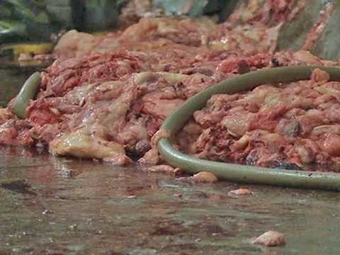 Trước đó, báo An ninh thủ đô cũng đưa tin về những cơ sở tư nhân sản xuất mỡ bẩn ở thôn Đẩu Hàn, xã Hòa Long, TP Bắc Ninh. Nhiều người dân tại đây đã phản ảnh về mùi hôi thối, khét lẹt bốc lên từ những cơ sở sản xuất mỡ trong vùng. Ảnh: ANTĐ. Trước đó, báo An ninh thủ đô cũng đưa tin về những cơ sở tư nhân sản xuất mỡ bẩn ở thôn Đẩu Hàn, xã Hòa Long, TP Bắc Ninh. Nhiều người dân tại đây đã phản ảnh về mùi hôi thối, khét lẹt bốc lên từ những cơ sở sản xuất mỡ trong vùng. Ảnh: ANTĐ.