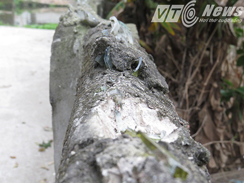 Bờ tường cắm mảnh chai nơi ông Khá trèo qua bị thương - Ảnh MK