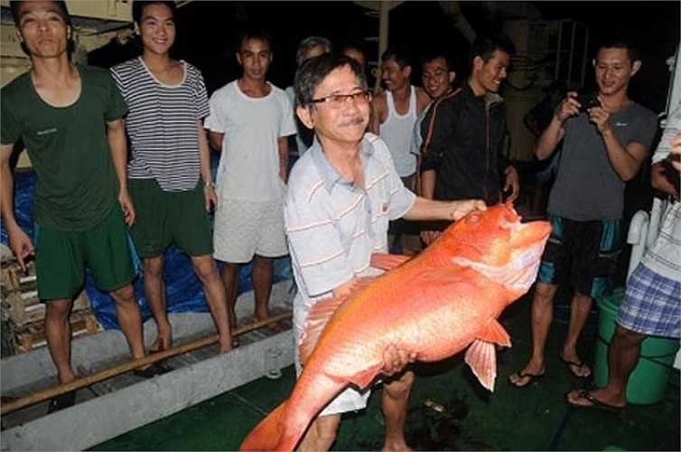 Ngoài số lương thực, thực phẩm được tiếp tế từ đất liền, các cán bộ, chiến s còn đánh bắt được rất nhiều cá to, tăng gia sản xuất rau xanh.