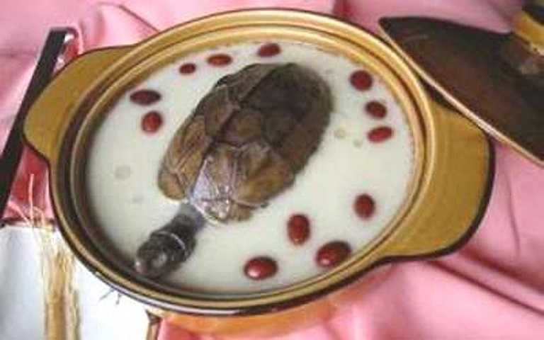 Rùa hầm bách hợp, táo đỏ tốt cho người suy nhược thần kinh.