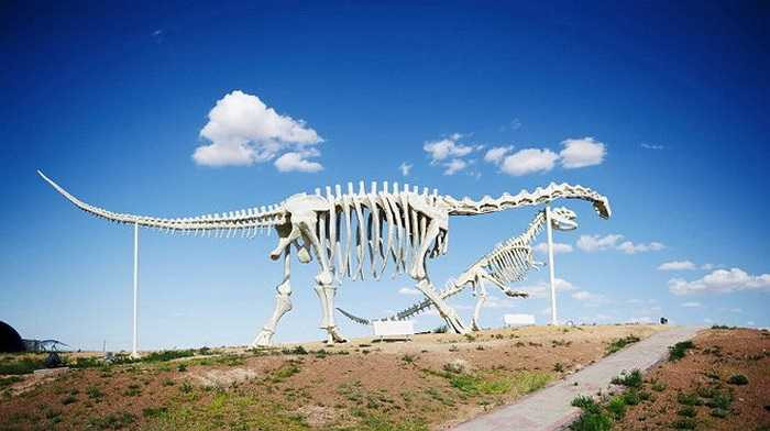 Khủng long cổ dài, một trong những loài khủng long có kích thước lớn nhất