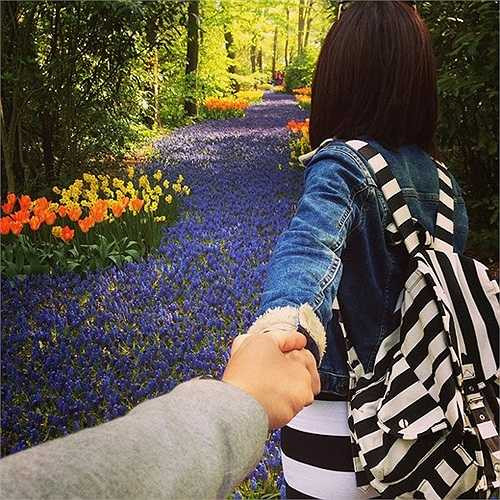 Vườn hoa Keukenhof nổi tiếng ở Hà Lan.