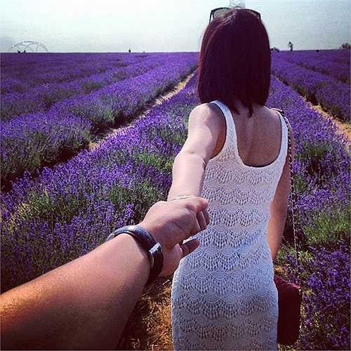 Cánh đồng hoa oải hương ngút ngàn ở Mayfield Lavender, Surrey (cách trung tâm London 15 dặm).