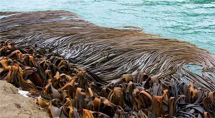 Tuy nhiên, chính quyền khuyến cáo du khách không nên ở gần vùng có gió dữ và đặc biệt là qua đêm, vì có thể sẽ gặp nguy hiểm.