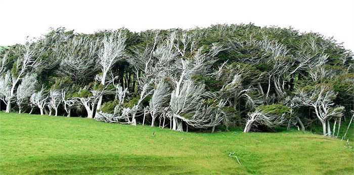 Thời điểm tháng 9 và tháng 10 hàng năm, chính quyền cấm tuyệt đối du khách đặt chân đến vùng đất này vì đây là thời gian gió thổi cực mạnh.