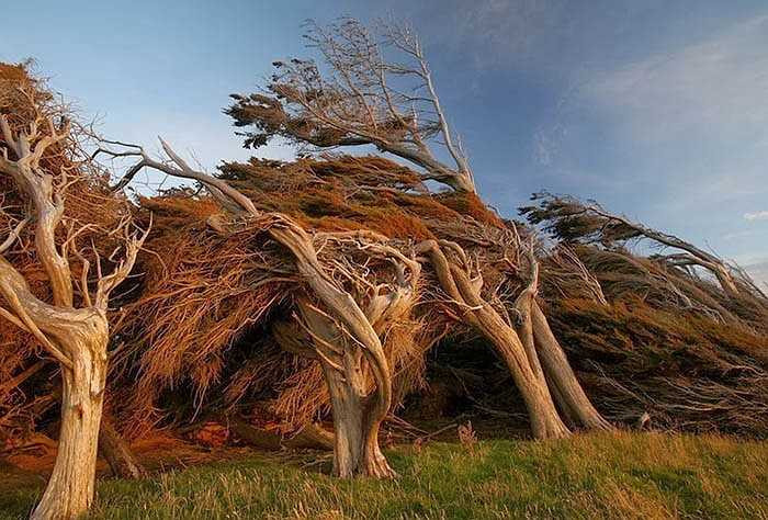 Những trận gió thổi từ đại dương, với đường đi 2.000 dặm, chạy thẳng vào đất liền, gần như không có sự cản trở nào.